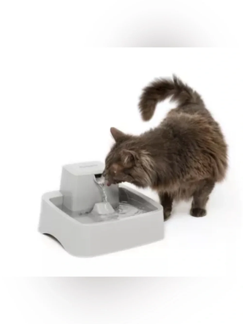 PetSafe® Drinkwell® Automatic Dog & Cat Pet Fountain Waterer, Filter 0.5 GAL